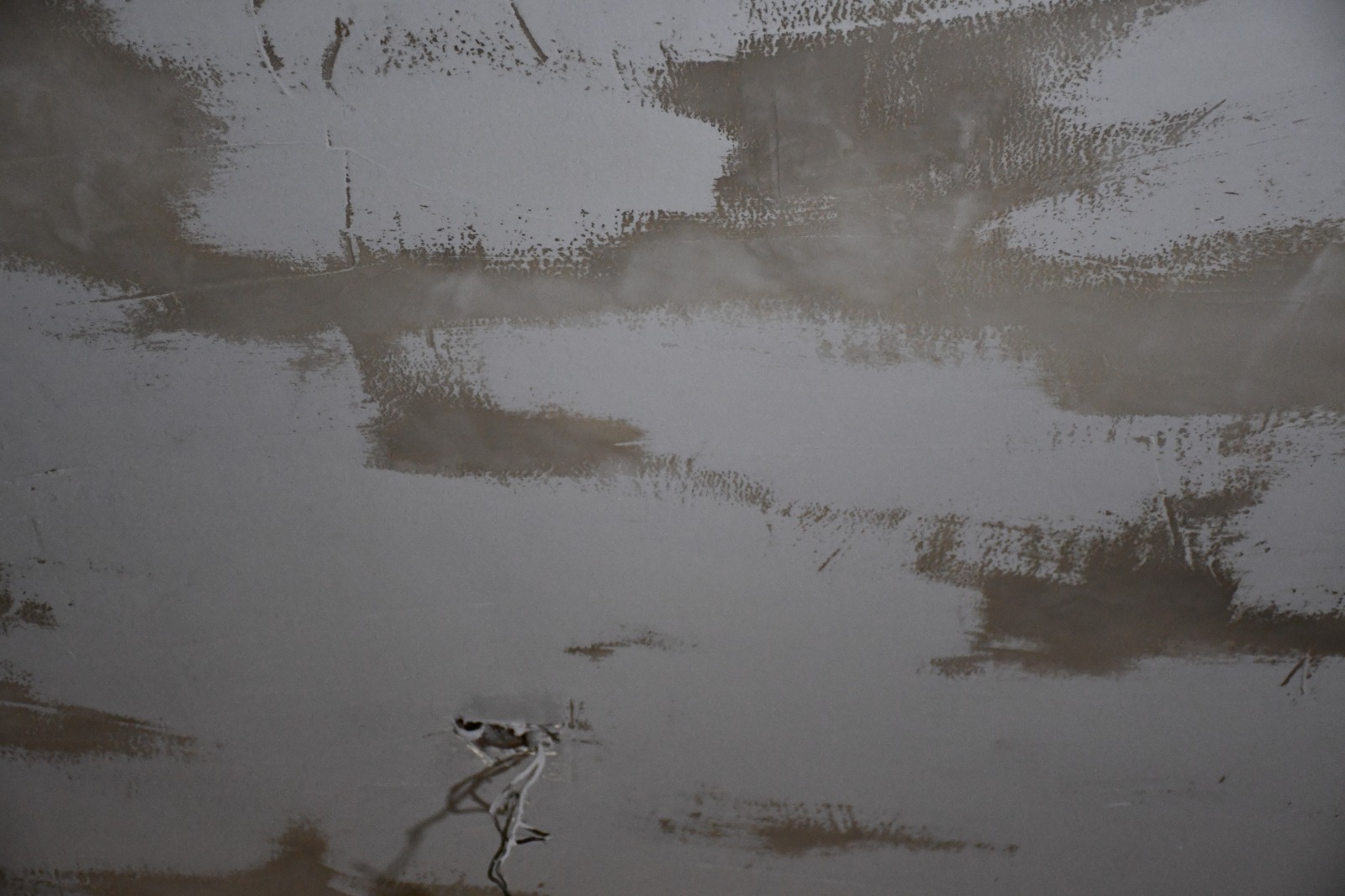 WhatsApp Image 2020-02-10 at 11.22.47 AM (3).jpeg.jpeg